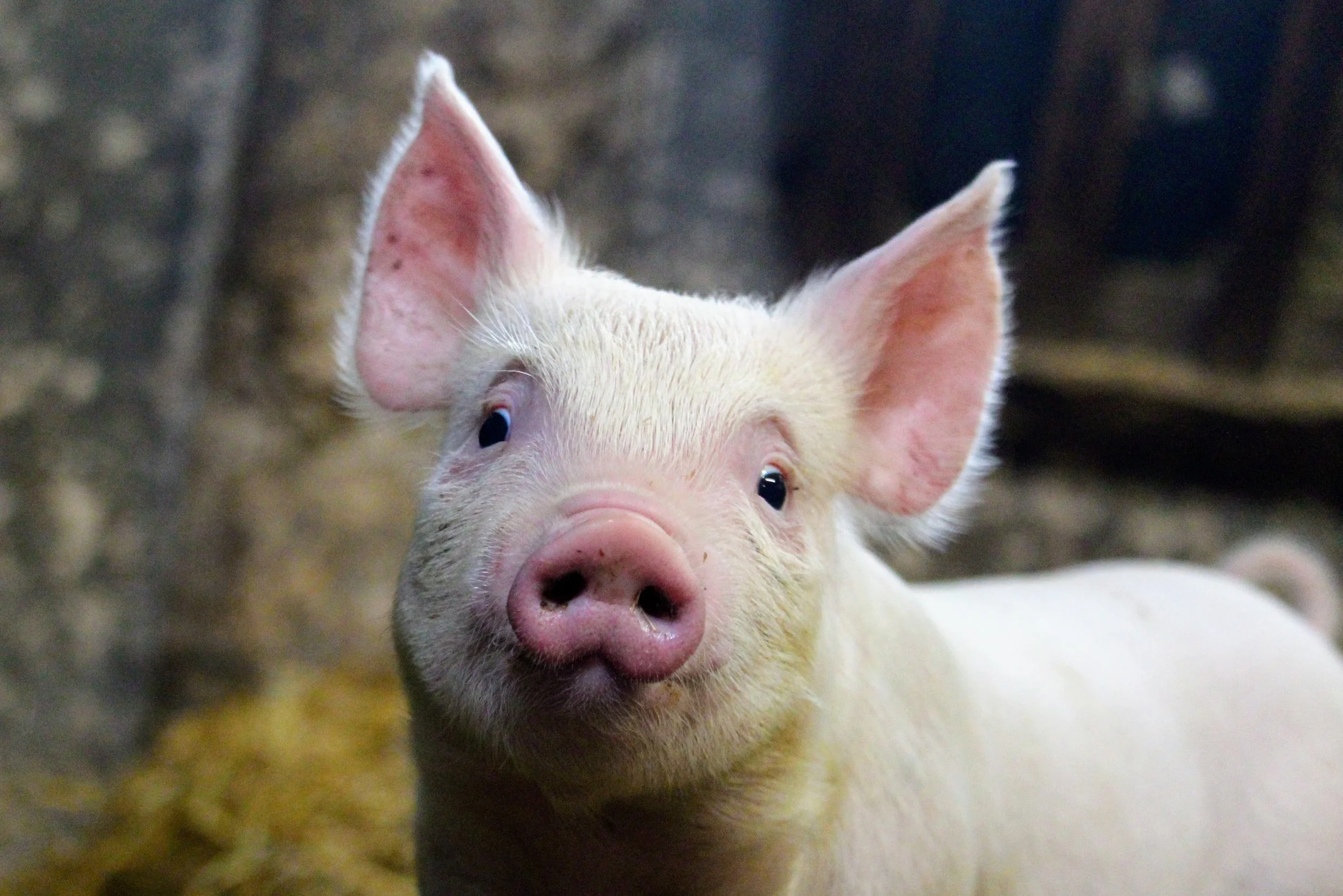 20210823143248_IMG_4007a