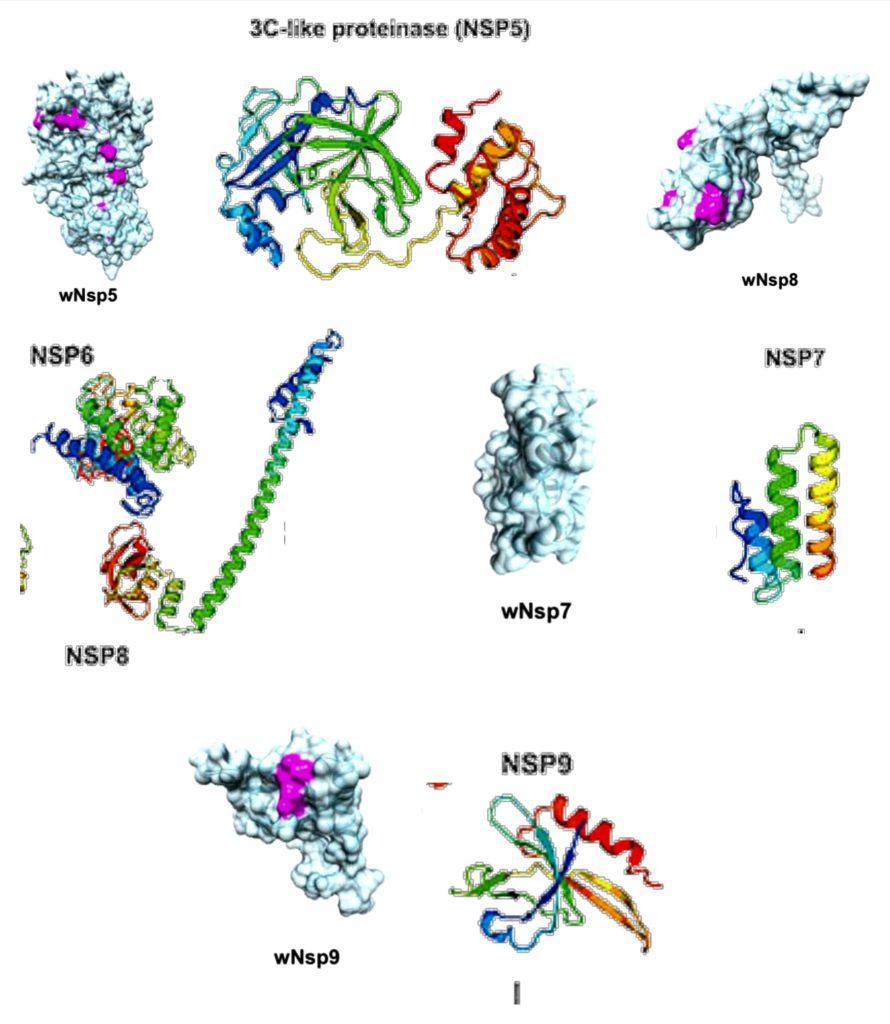 Fig 5.2-12 : NSP 5-9