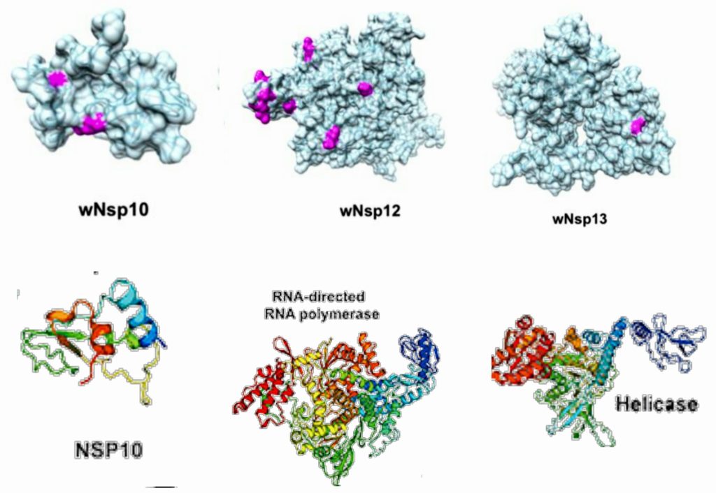 Fig 5.2-13 : NSP 10-13