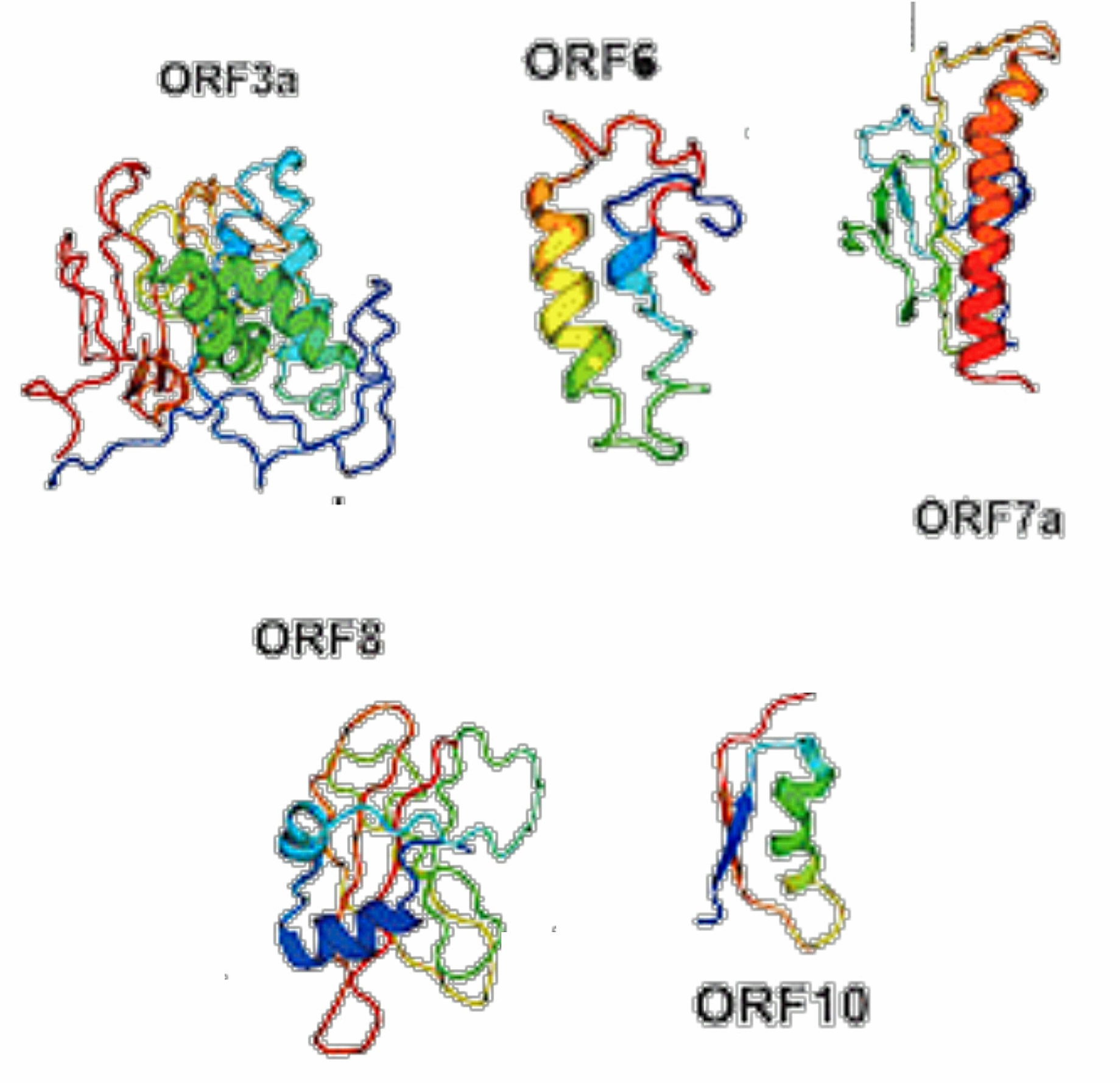 Fig 5.3-15 : Accessory Proteins