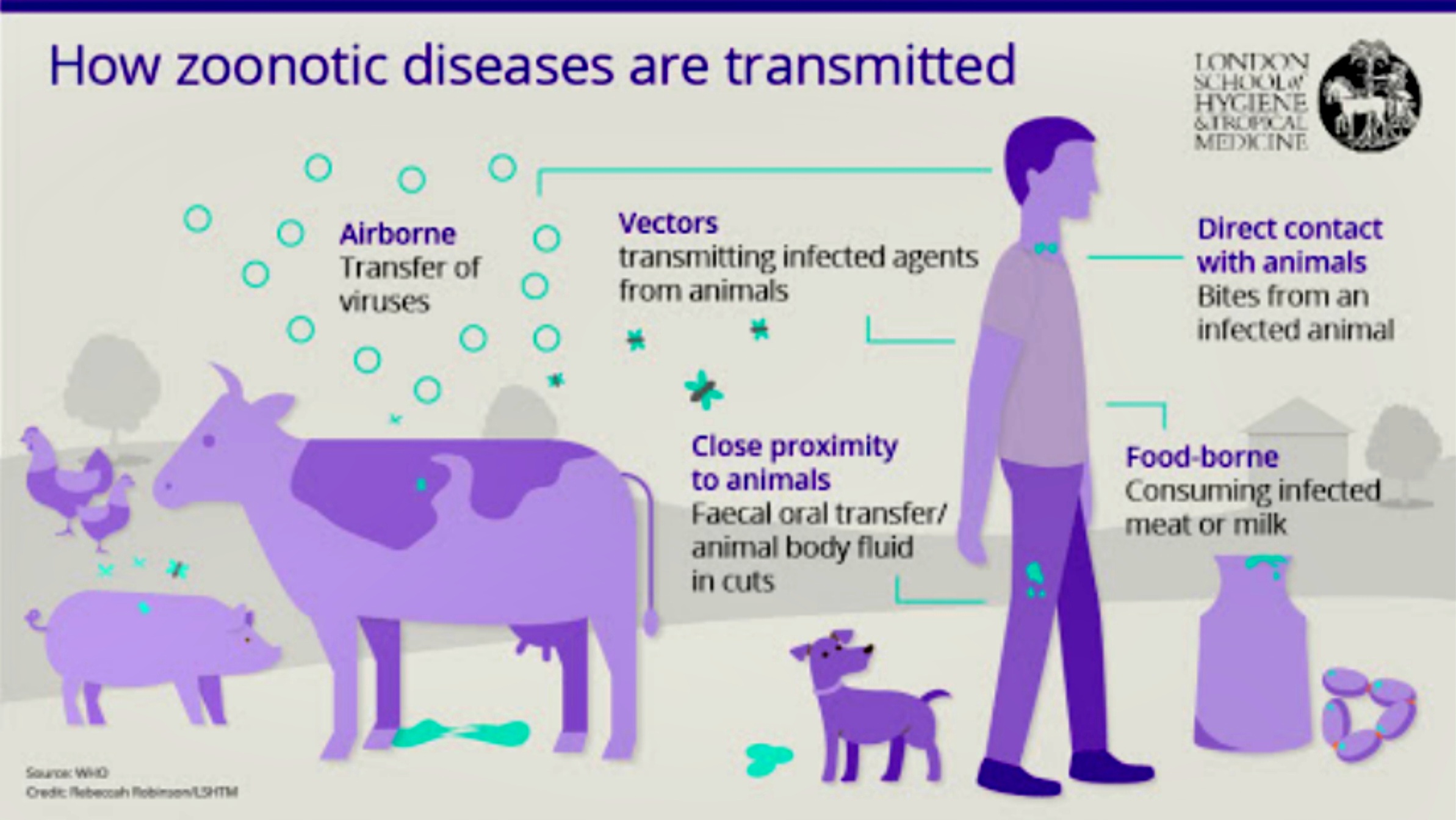 Fig 7.3-17 : Transmission of Zoonoses