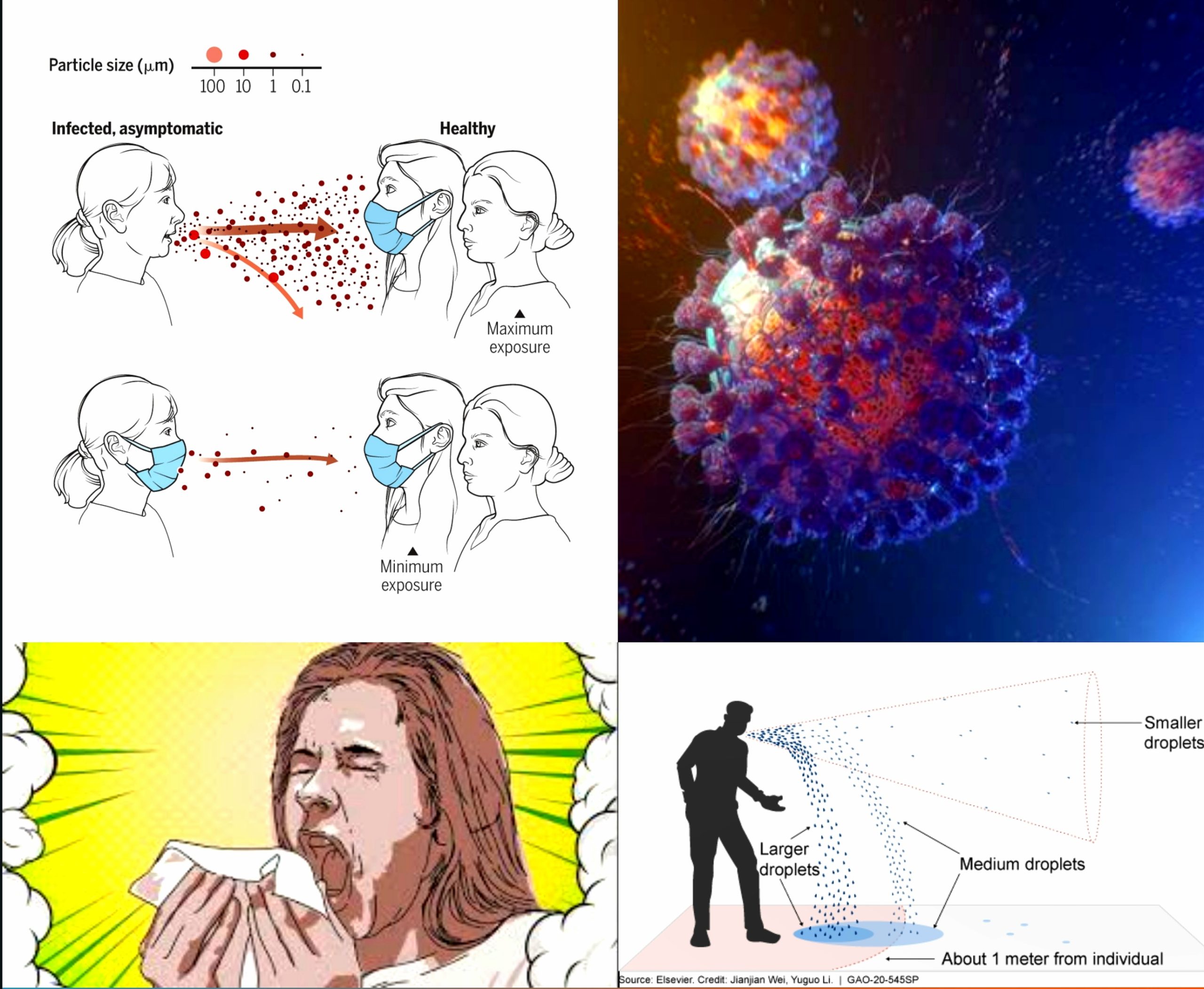 Infection and Transmission
