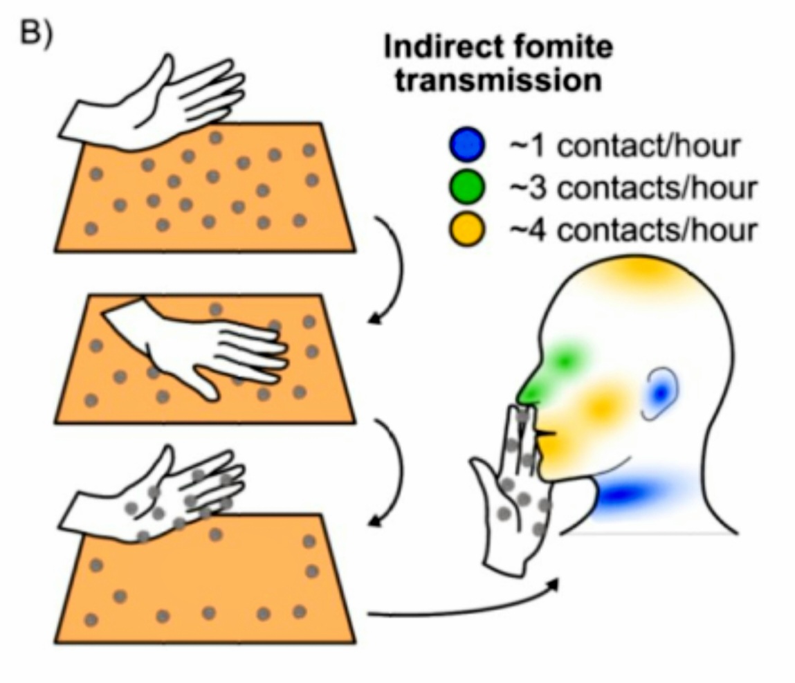 Fig 8.1.2-20 : Indirect Fomite Transmission