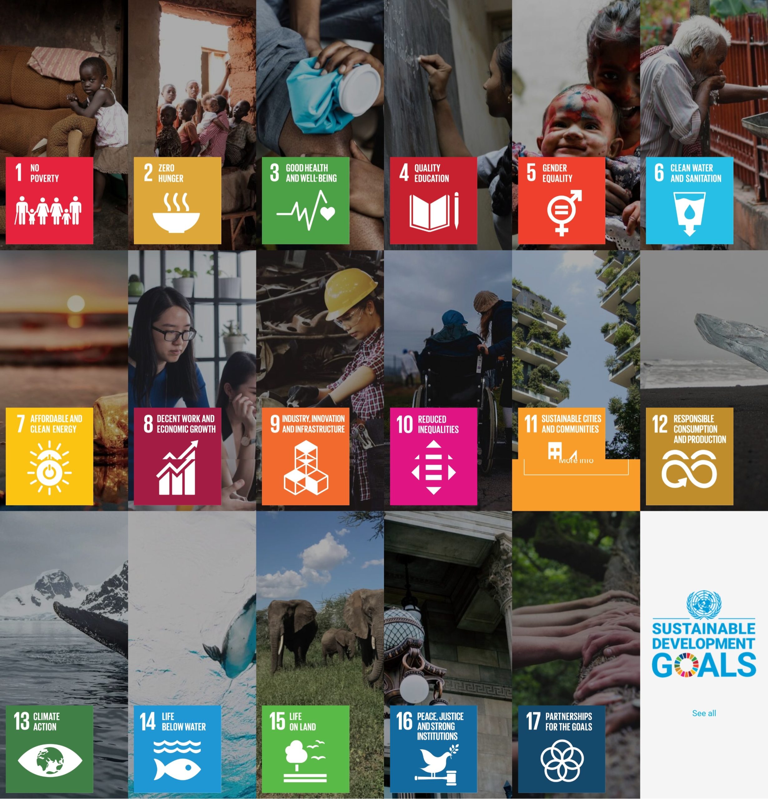 Fig 5: Sustainable Development Goals