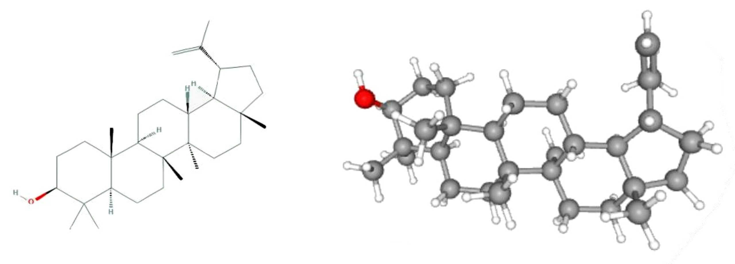 Fig 7.2-9 : Structure of Lupeol